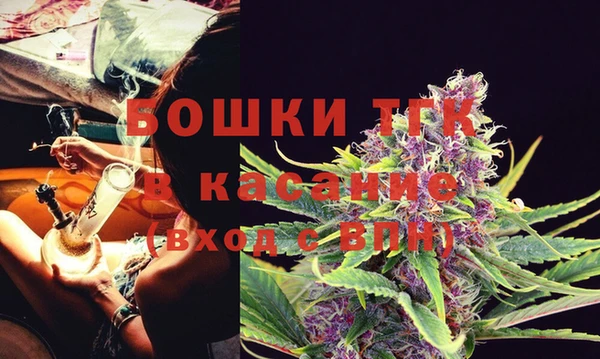 мдпв Лиски