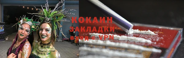 apvp Козельск