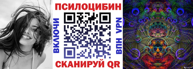 Псилоцибиновые грибы Psilocybe  ОМГ ОМГ как зайти  Кстово 