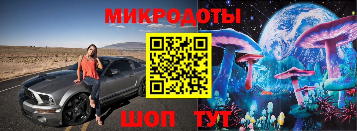 закладки  Кстово  Галлюциногенные грибы GOLDEN TEACHER 