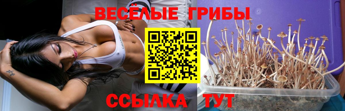 Кстово  Псилоцибиновые грибы Magic Shrooms  Псилоцибиновые грибы Magic Shrooms  Вход с VPN 