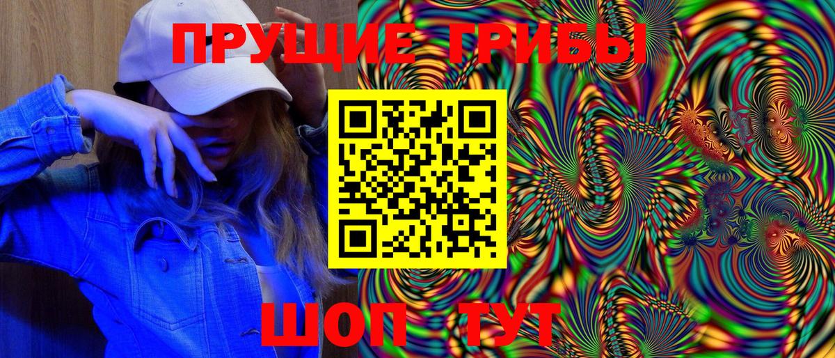 Галлюциногенные грибы Psilocybine cubensis Кстово